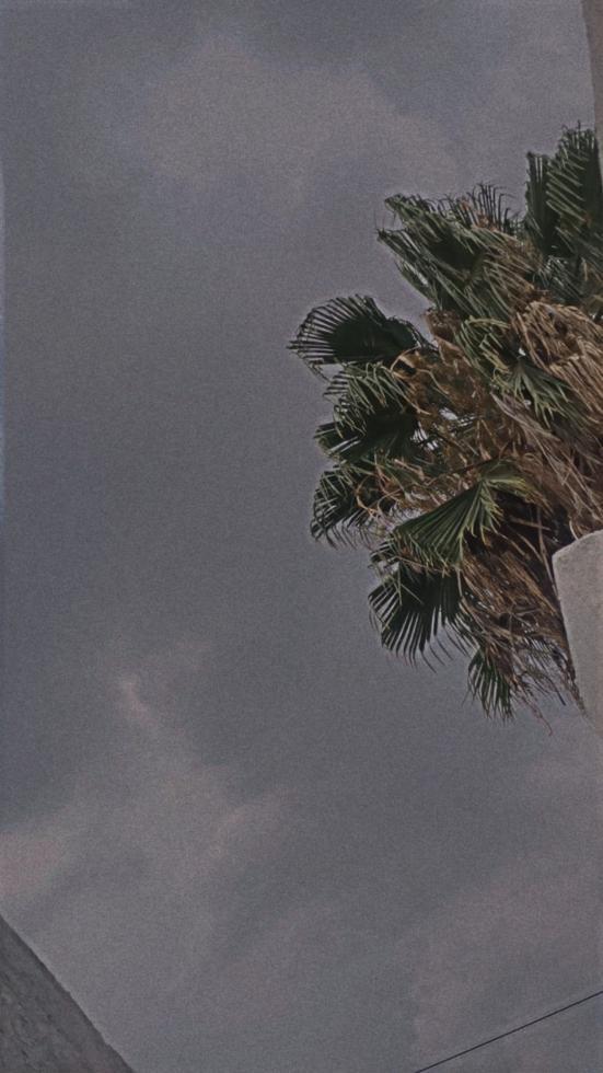 Me gusta mirar el cielo y a ustedes?