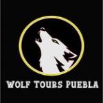 Wolfs Puebla Profile Picture