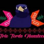 Trio Tordo Huasteco Profile Picture