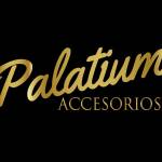 Palatium Accesorios profile picture