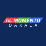 Al Momento Oaxaca Profile Picture