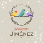 Julian Jimenez Profile Picture