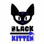 Black Kitten By: Jess G. Profile Picture
