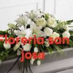 Floristeria Jose Profile Picture